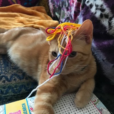 moseymo06's profile picture. 