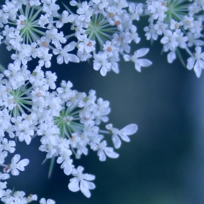 bitterwords_'s profile picture. I had a marvellous time ruining everything