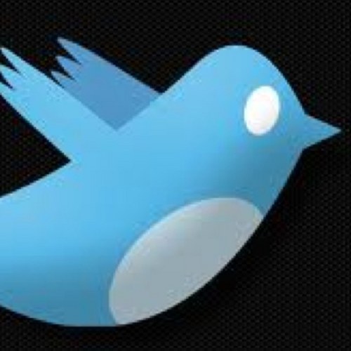 0teamfollowback's profile picture. 