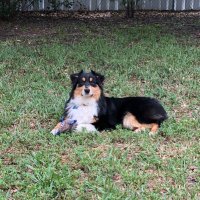 Tori Moyer (@torimoyer3) 's Twitter Profile