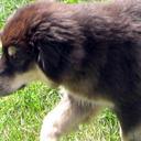 Brandon Logan - @BLogan17 - Twitter