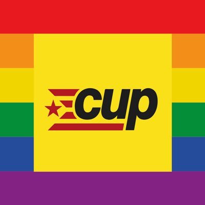 Grup de treball LGBTI de la @cupnacional