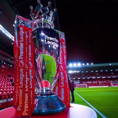 steviegm1's profile picture. 