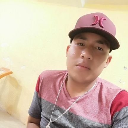 JuanLpe20265681's profile picture. 