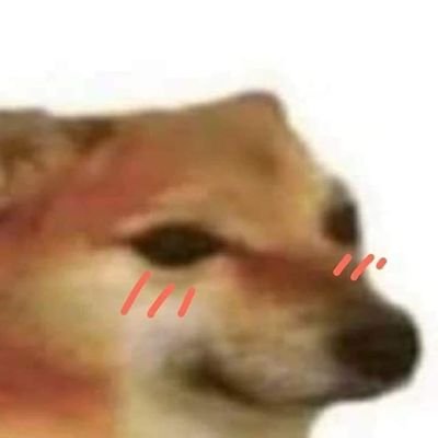 วรี้さんのプロフィール画像