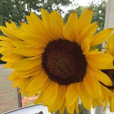 SheilaPowell6's profile picture. 