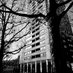 Hide Tower SW1 (@hidetowersw1) Twitter profile photo Hide Tower SW1 (@hidetowersw1) Twitter profile photo