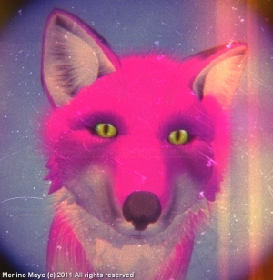 merlinomayo's profile picture. 