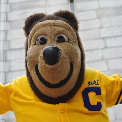 Official mascot of UC Berkeley #GoBears