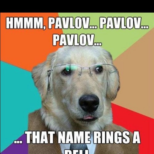 partick71's profile picture. 