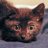黒猫ほたてのアイコン