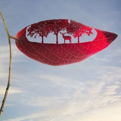 ShaRishaSirisha's profile picture. ధర్మానికి నీ పుట్టుకను కానుకగా ఇవ్వు... ప్రేమకు నీ హృదయాన్ని బానిసను చెయ్యి📝