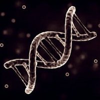 TRİMOLGEN (@trimolgen) Twitter profile photo