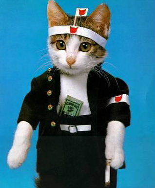 遊歩猫（あそびあるきねこ）🇯🇵さんのプロフィール画像