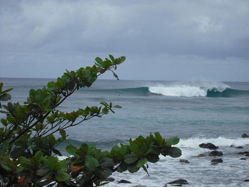 Surf follower
