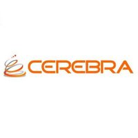 Cerebra Consulting(@CerebraInc) 's Twitter Profile Photo