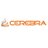 CerebraInc's profile image