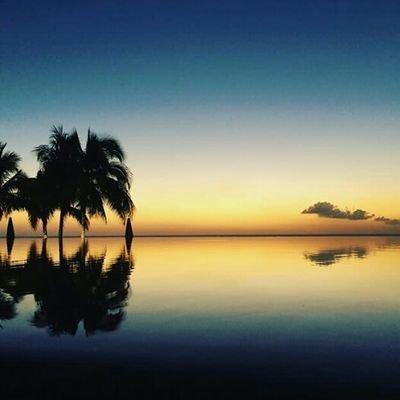 Alex14088260's profile picture. blessing