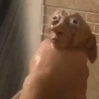 BoydBattle's profile picture. i like everything in even numbers so suck it.