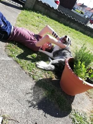 Gamer
Twitch--Seannewland1
stream weekends pending
Weekdays if I'm lucky
Just catch me on https://t.co/ZFWzuR44Q3 for catch ups