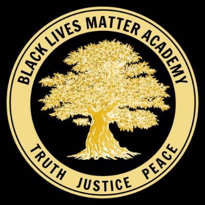 Black Lives Matter Academy is a FREE K12 Virtual School for all children. An option to a systemically racist gov. run ed. system of zipcode dictating quality.