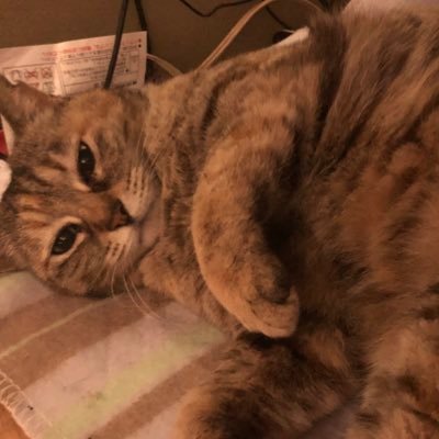 しげおさんのプロフィール画像