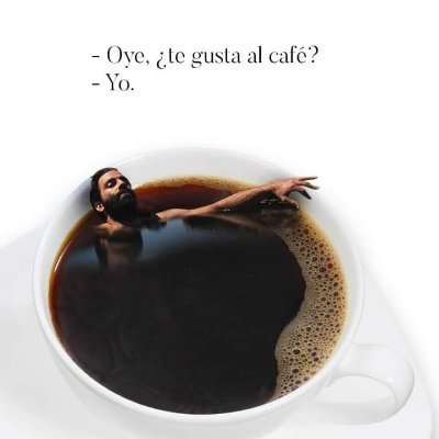 1R0berto's profile picture. Learning Web Development