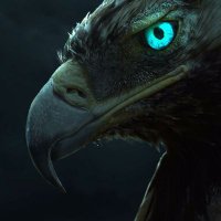 Nouma Nok (@noumanokic) Twitter profile photo