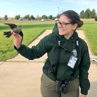 Karina Sanchez, PhD(@UrbanBirdNerd) 's Twitter Profile Photo