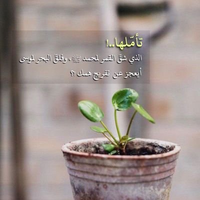 ‏العلوم و التكنولوجيا الموضة والأناقة الموضة الأخبار