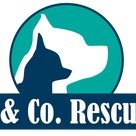 The Official Account for J & Co Rescue.