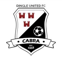 Dingle United (@dingleunitedfc) 's Twitter Profile