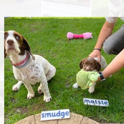 Smudge_Maisie Profile Picture