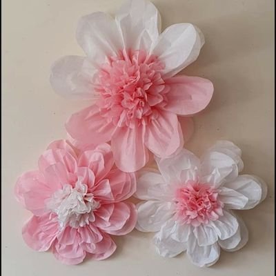 KrishnacSupriya's profile picture. 