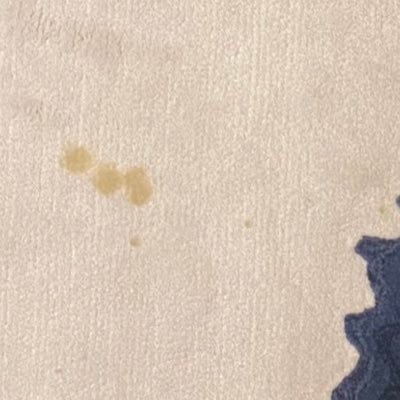 virgil naff kawasaki