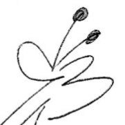 sj_lake's profile picture. 