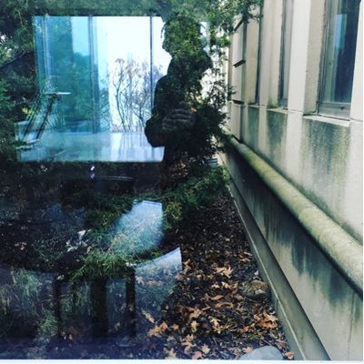 speculative_dev's profile picture. speculative design and dev