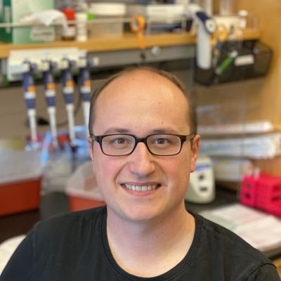 Systems biologist trying to figure out how cells make metabolic decisions. Researcher at IRTA-CReSA, playing with microbes and viruses.