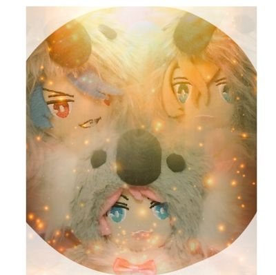 まぁーぼーどうふさんのプロフィール画像