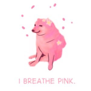Gato Rosa🌟 #YoMeQuedoEnCasaConMisGatosさんのプロフィール画像