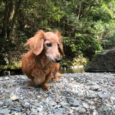 WuUXvlnORiu2BxB's profile picture. 釣り大好き週末アングラー🎣青物メインでやっております🐟🐟🐟毎週釣れるといいなぁ🫡