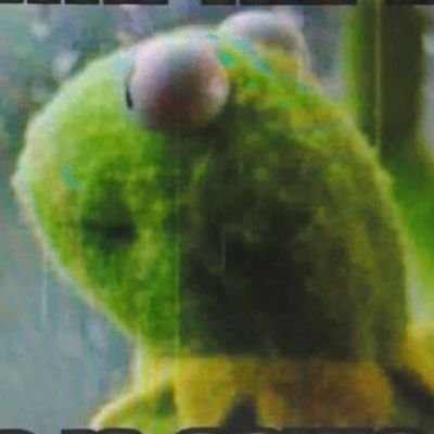 Kbopyadillah's profile picture. roadrunner in tour