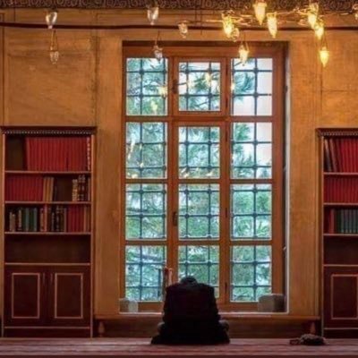 rS3Aj88DphiKbt1's profile picture. 