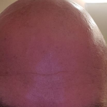 toddef421's profile picture. 