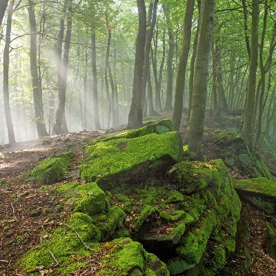 NextTry9's profile picture. Müde, wie immer!