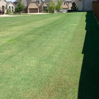 pinguino50m's profile picture. Stay At Home Father, lived in - Billings,Denver, Fort Collins, Washington D.C., London, San Antonio,  Fort Worth and now back to Denver.