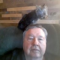 david herold (@davidherold4) 's Twitter Profile