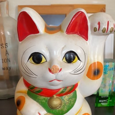 lemoned_life's profile picture. まもとな日本・兵庫県になって欲しい。選挙に行くってかっこいい
れいわ新選組・共産党支持 無関心は罪 リツイート多め 日々勉強 猫好き
#選挙にいこう　#自民党政権を終わらせよう