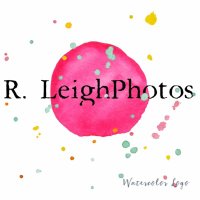 R.LeighPhotos LLC(@RLeighphotos) 's Twitter Profile Photo