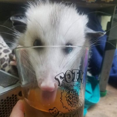 LeonM_G's profile picture. Dark Matter, Neutrinos @ Unison, HMO